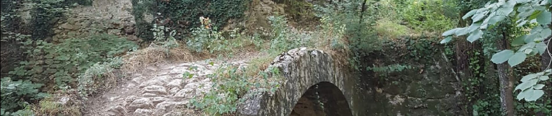 Tour Zu Fuß Bagnols-en-Forêt - La forêt Royale Bagnols-en-Forêt - Photo