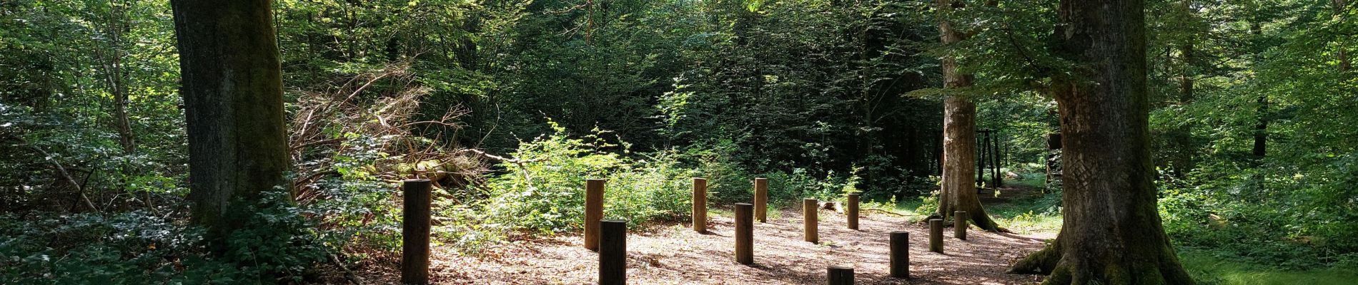 Tour Wandern Champagney - parcours sportif des Épaisses à Champagney - Photo