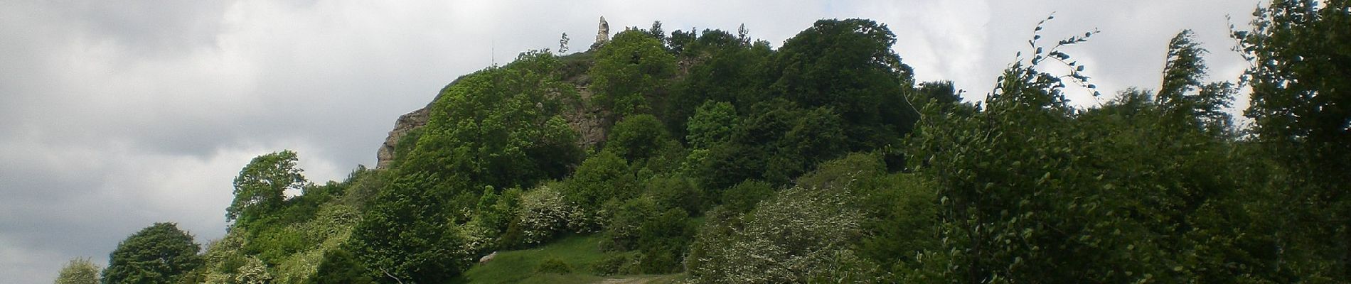 Excursión A pie Ripoll - De Llaés al Castell de Milany - Photo