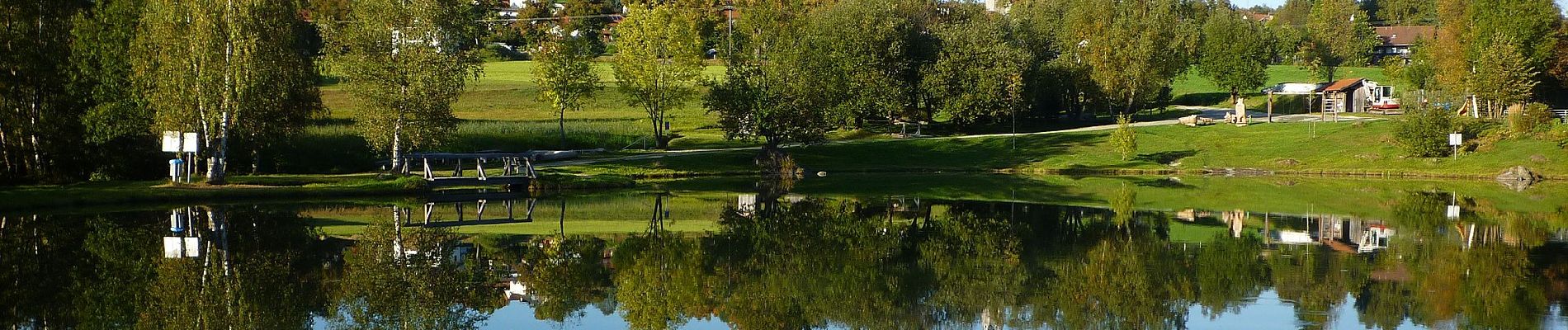 Tour Zu Fuß Grafenau - Bärenpfad - Photo