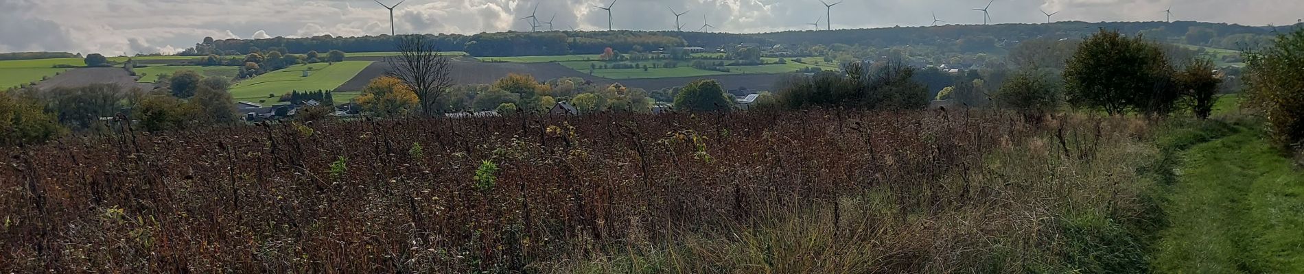 Tocht Stappen Fosses-la-Ville - Vitrival 181022 - Photo