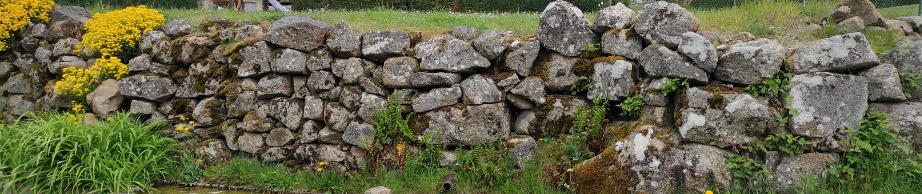 Randonnée Marche Merle-Leignec - le chemin delà poix - Photo