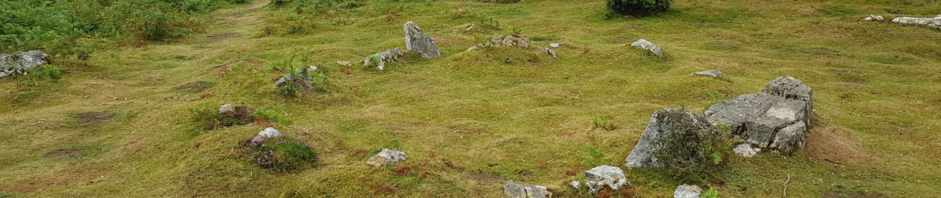 Tocht Stappen Urrugne - Ibardin - Photo