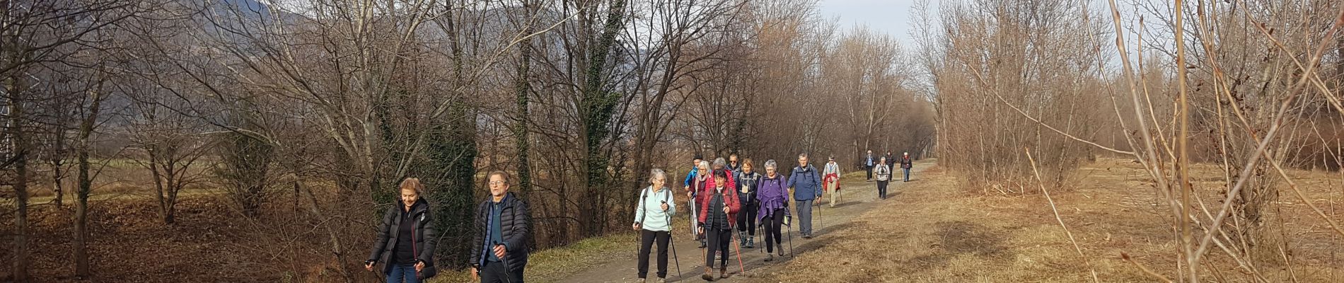 Tocht Noords wandelen Sassenage - MN Sassenage Circuit 9-10 km - Photo