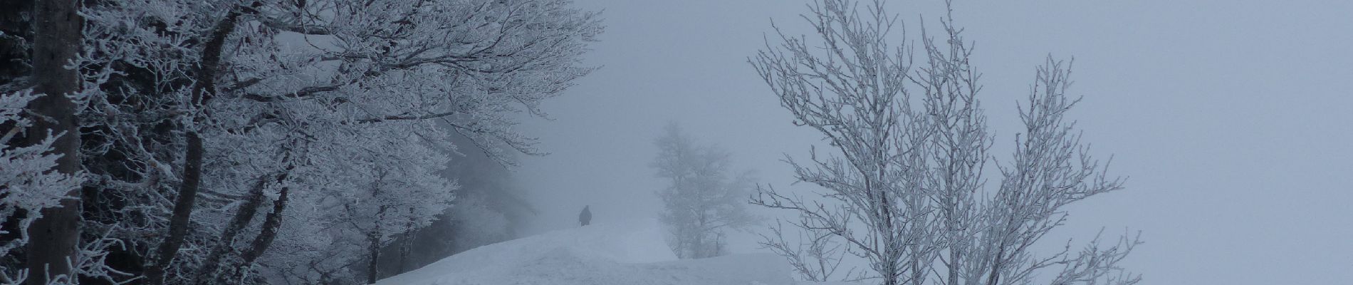 Trail Snowshoes Lans-en-Vercors - la moliere - Photo