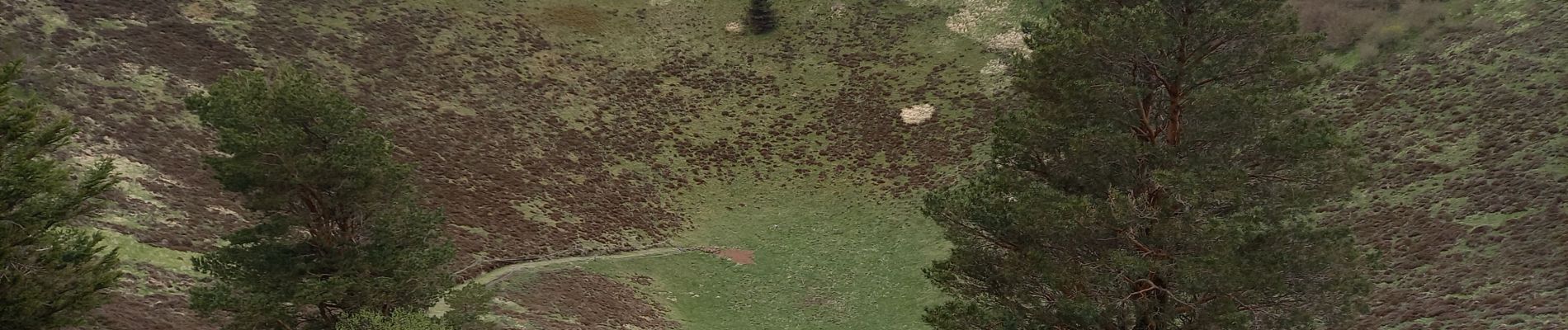 Tocht Stappen Orcines - Puys de Dôme et Pariou 6.5.24 - Photo