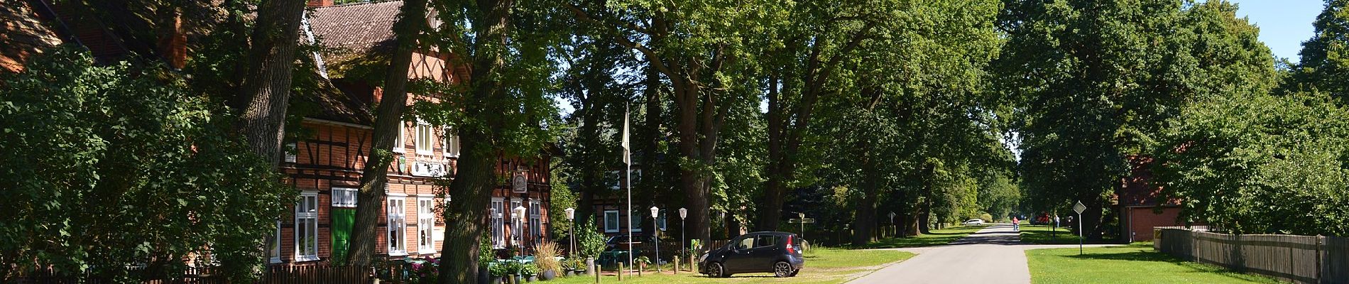 Tour Zu Fuß Schnackenburg - Wendland-Querweg - Photo