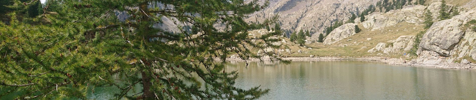 Tour Wandern Saint-Martin-Vésubie - refuge Cougourde lac Trecolpas - Photo