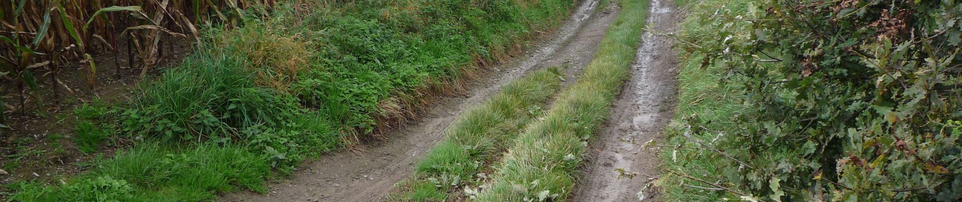 Tocht Te voet Fosses-la-Ville - Mon parcours - Photo