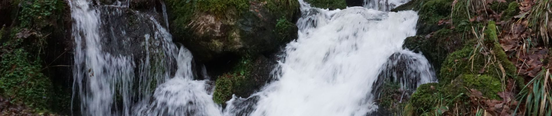 Randonnée Marche Neuviller-la-Roche - Neuviller La Roche Cascade de la Serva - Photo