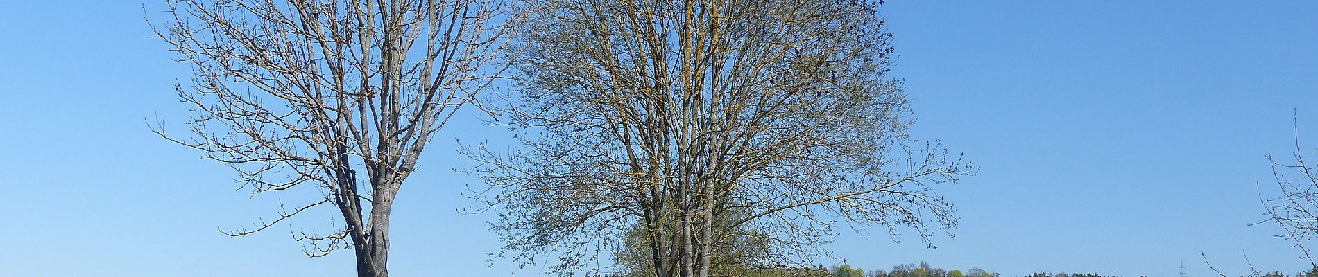 Tour Zu Fuß Ensdorf - Jurasteig Asam-Schlaufe - Photo