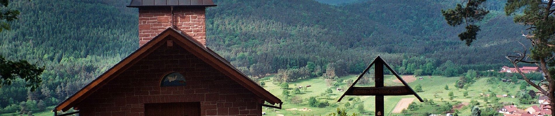 Randonnée A pied Birkenhördt - Birkenhördter Höhenweg - Photo