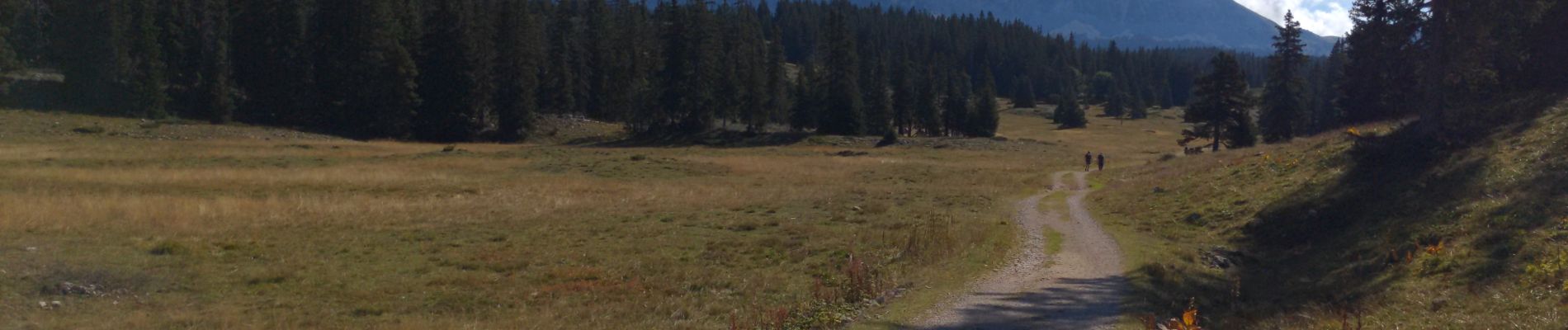 Tour Mountainbike Saint-Agnan-en-Vercors - Pré Peyret depuis la Coche - Photo