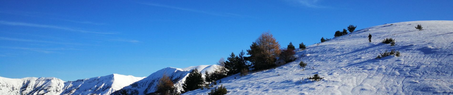 Randonnée Raquettes à neige Prads-Haute-Bléone - crête du carton - Photo