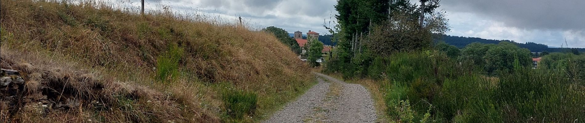 Tocht Stappen La Chaise-Dieu - Bois de Breuil - Photo