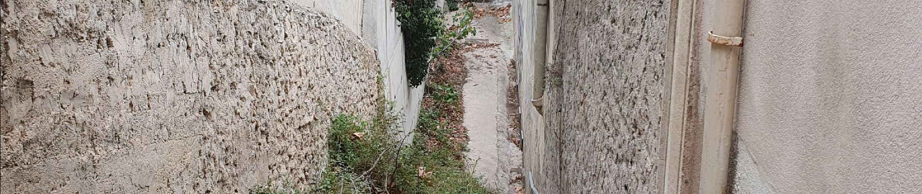 Tocht Stappen Marseille - Chemin du Roucas Blanc - Photo