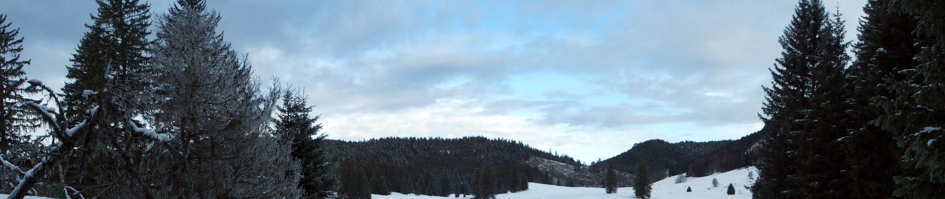 Tocht Sneeuwschoenen Saint-Martin-en-Vercors - Herbouilly - Photo