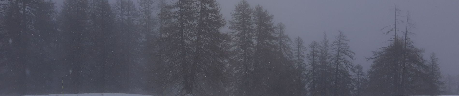 Tour Wandern Puy-Saint-Pierre - pentes du prorel sous la neige de printemps  - Photo