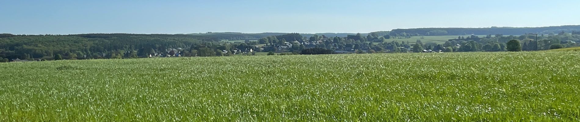 Trail Walking Libramont-Chevigny - Vesqueville - Photo