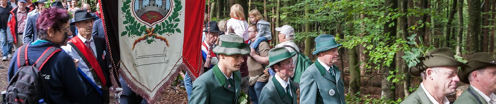 Tocht Te voet Biedenkopf - Rundwanderweg V - Photo