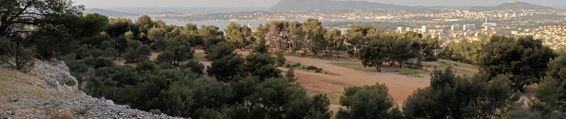 Tocht Stappen Toulon - Le Faron-13-04-22 - Photo