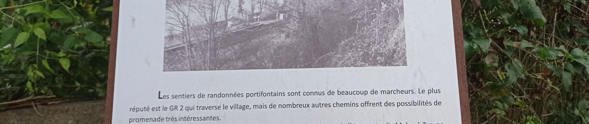 Percorso Marcia Chartrettes - la Seine à Chartrette  - Photo