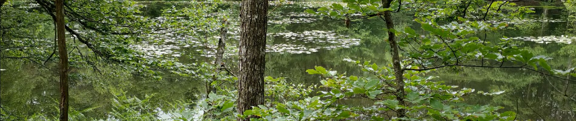 Trail Walking Ternuay-Melay-et-Saint-Hilaire - melay  - Photo