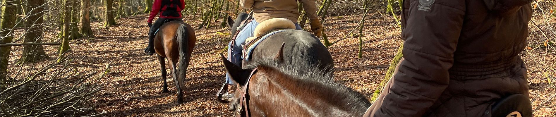 Excursión Paseo ecuestre Bastoña - Livarchamps 27 février 2021 - Photo