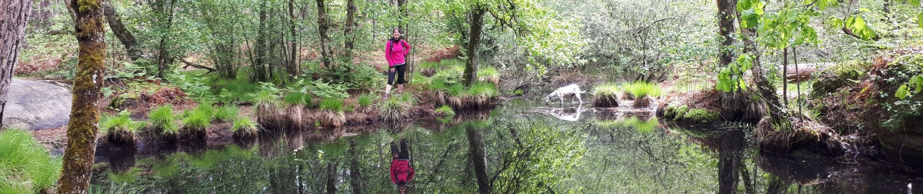 Tocht Stappen Ury - tmf ( Michel ) - Photo