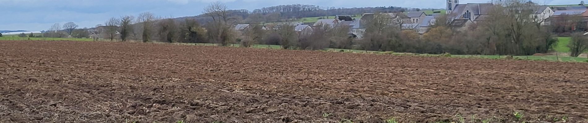 Tocht Stappen Cerfontaine - Villers Deux Églises 130323 - Photo