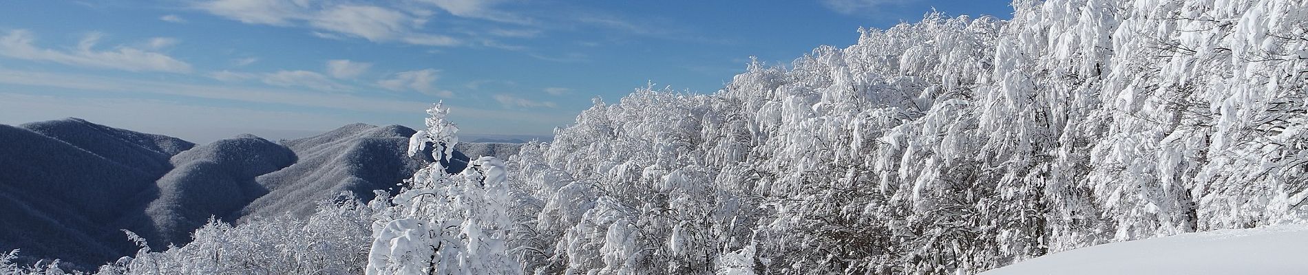 Percorso A piedi Palazzuolo sul Senio - Alte Vie di Firenzuola - Photo