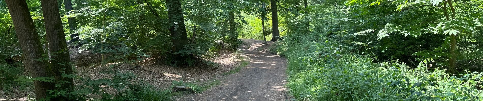 Tour Wandern Péruwelz - Bonsecours 16 km - Photo