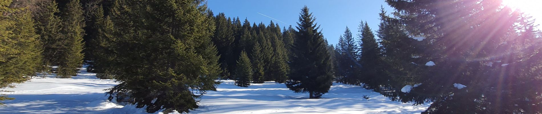 Trail Snowshoes Verchaix - Plateau de Loex - Photo