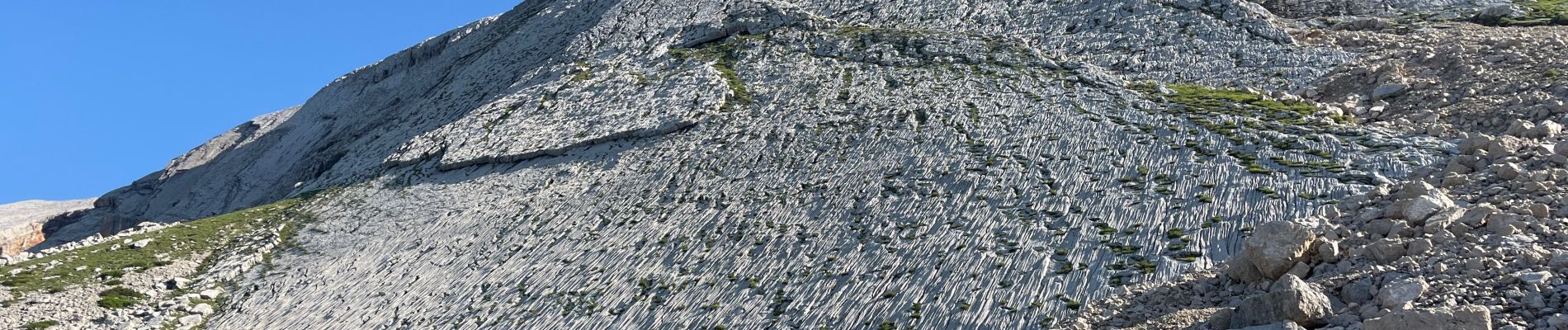 Tocht Stappen Cortina d'Ampezzo - J 5 Refuge Lavarrella - Photo