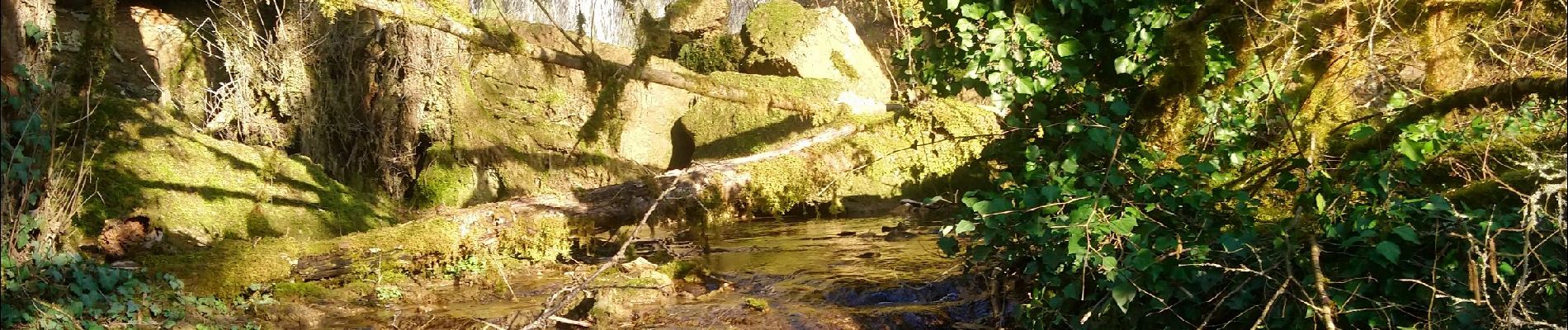 Tour Wandern Saint-Hymetière-sur-Valouse - St hymetiere  - Photo