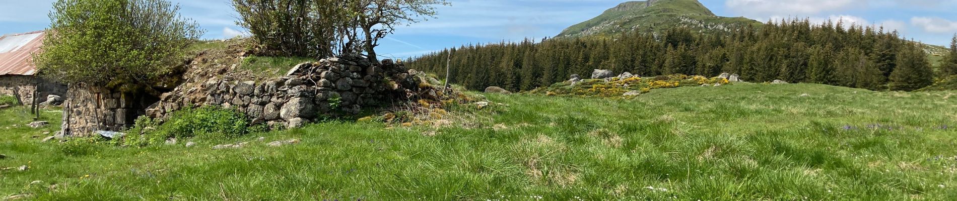 Trail Walking Dienne - Laqueuille seycheuse vassiviere Peyre-Gary  - Photo