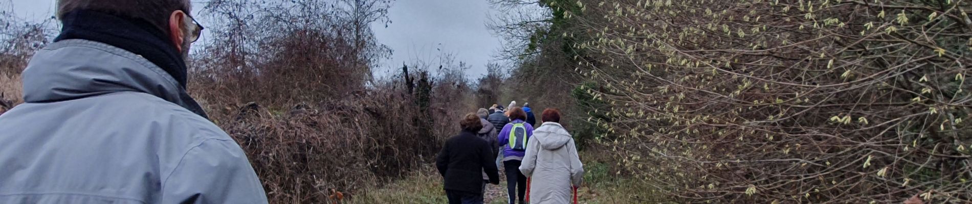 Tocht Stappen Moret-Loing-et-Orvanne - 20230103 randonnée nadine  - Photo