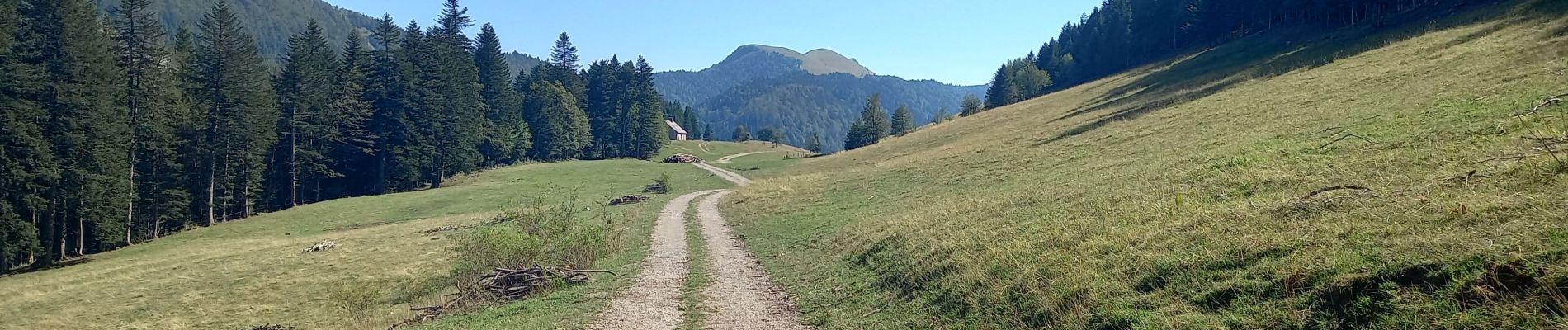 Trail Walking Billiat - GTJ 12 Ferme de Retord/Chalet d'Arviere  - Photo