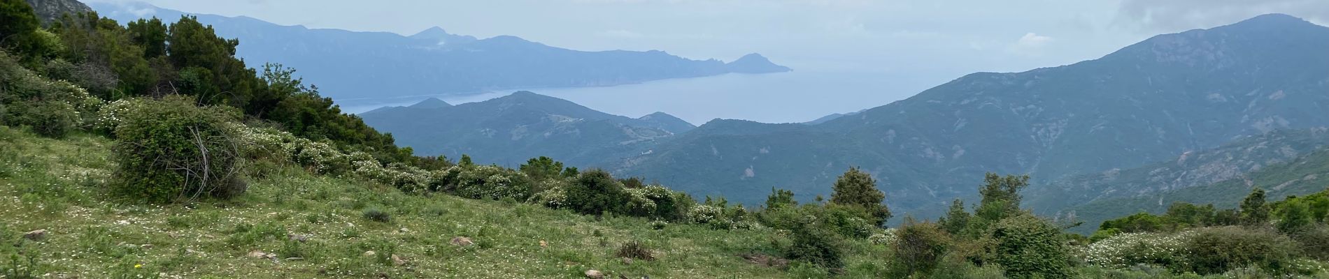 Tour Wandern Manso - Corse 2023: Tuvarelli - Sierrera - Photo