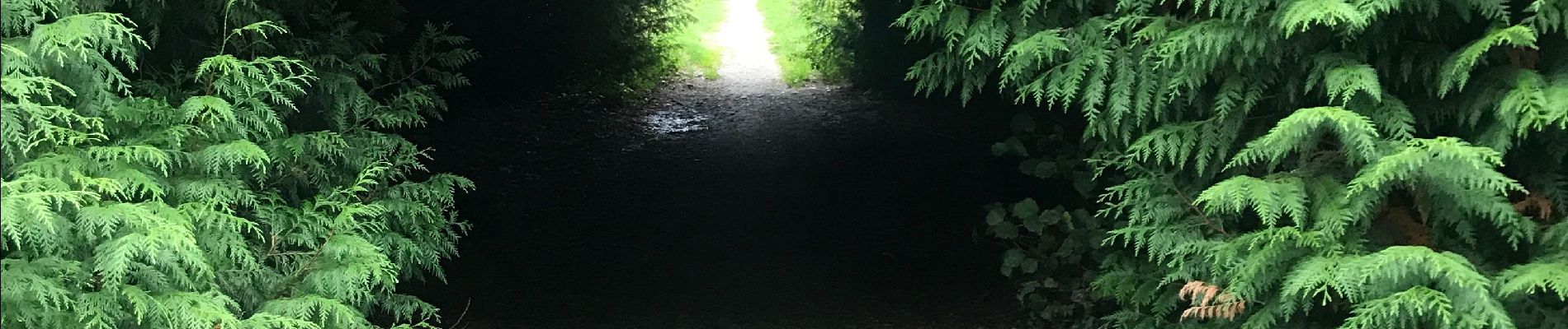 Percorso Marcia Anhée - Boucle Anhée - poilvache - les roches yvoir - Photo