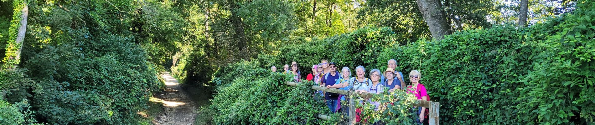 Tocht Stappen Servon - J 25 - 13km  gué mignote lesigny retour golf forcille - Photo