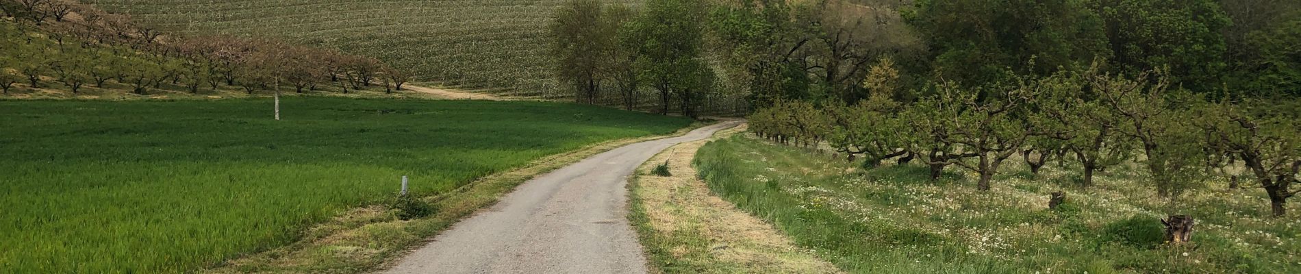 Tour Wandern Mirabel - Autour de Mirabel - Photo