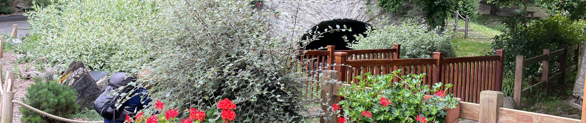 Tour Wandern Saint-Lary-Soulan - AZET : Pla d’Ourtigué en boucle - Photo