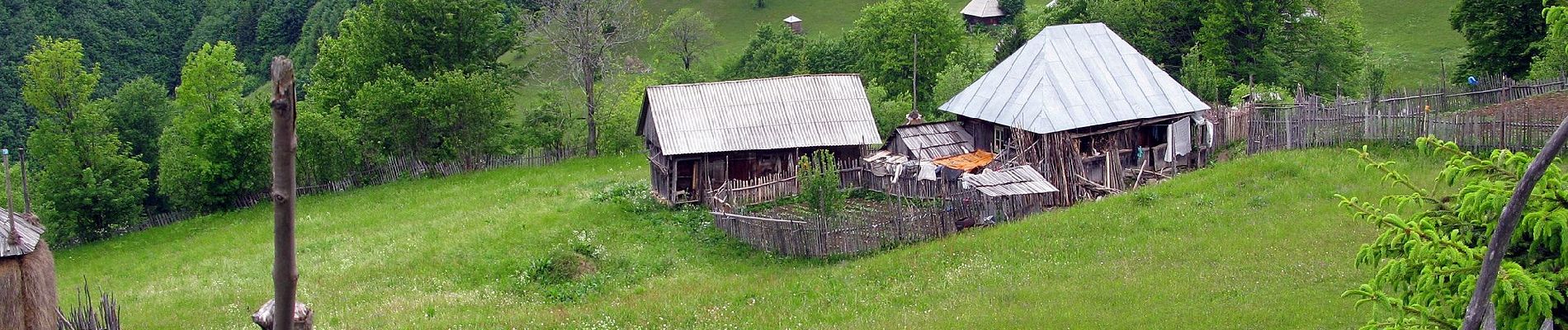 Tour Zu Fuß Oberwischau - RO-Viseu - Poienile de sub munte - Photo