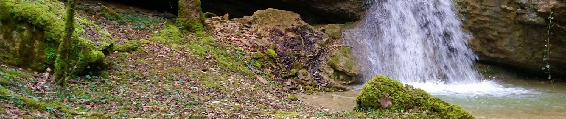 Randonnée Marche Corveissiat - Corveissiat Arnans Selignac  - Photo