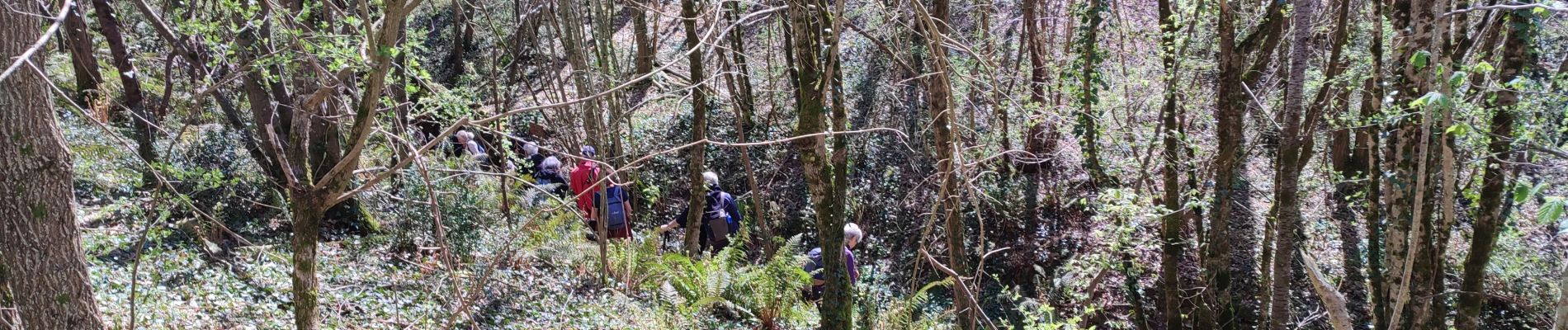 Tour Wandern Roumengoux - Roumengoux  - Photo