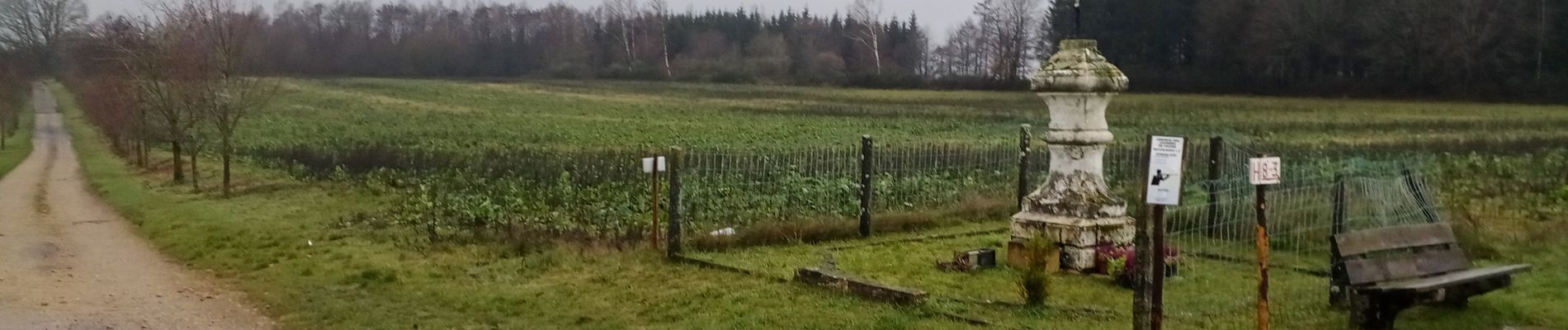 Tocht Stappen Meix-devant-Virton - meix d'y virton - Photo