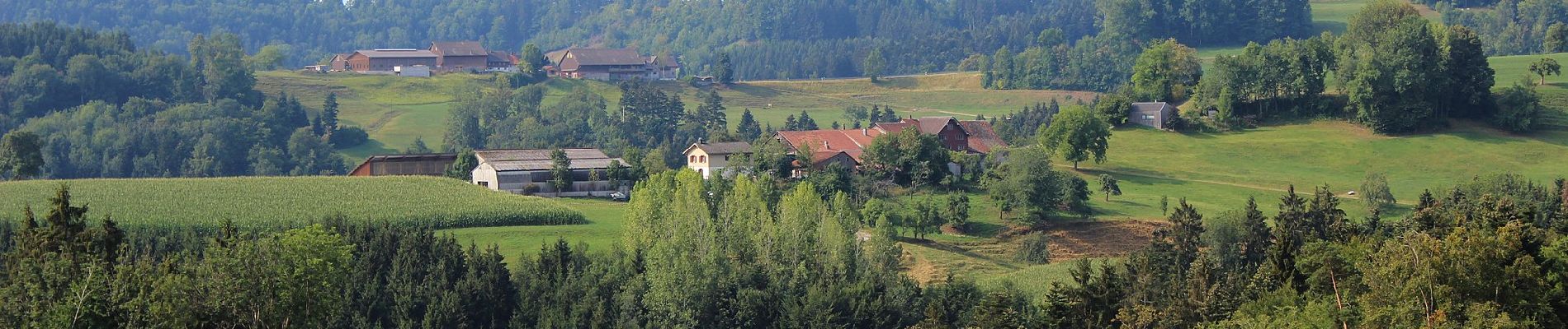 Excursión A pie Bichelsee-Balterswil - Niederwies - Sitzberg - Photo