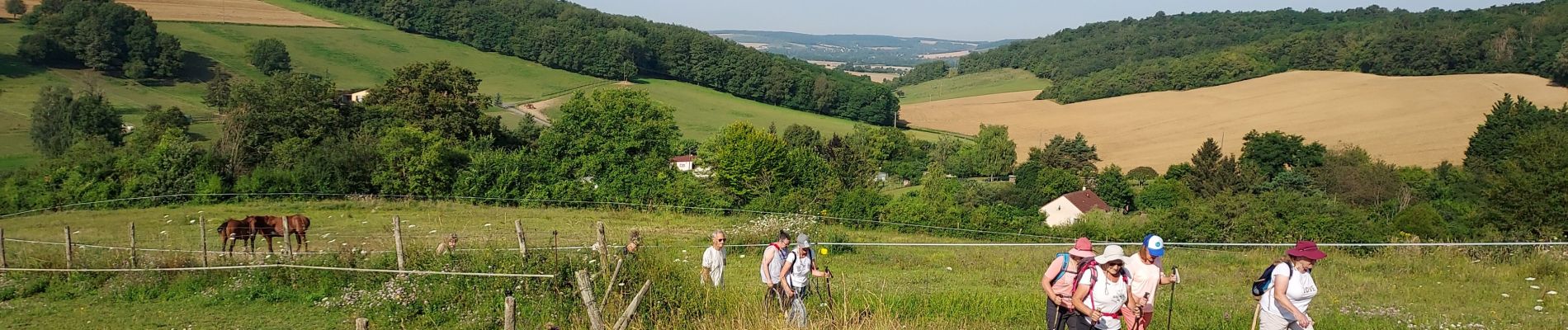 Tour Wandern Véron - La Grange aux Doyens 240720 - Photo