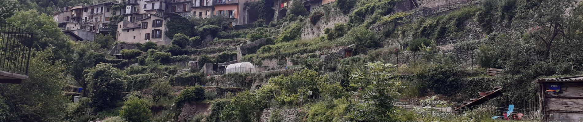 Tour Wandern Tende - tende boucle - Photo